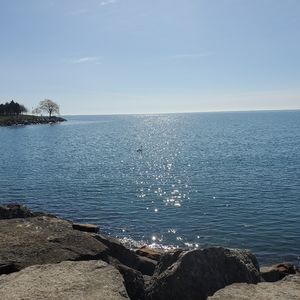 Meet your Posher, Anne M